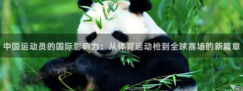 中国运动员的国际影响力：从体育运动枪到全球赛场的新篇章