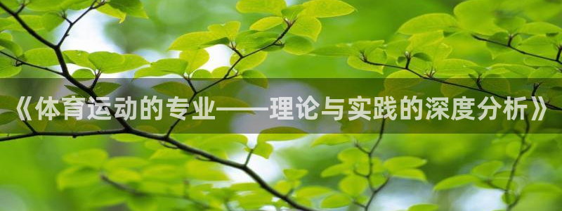 《体育运动的专业——理论与实践的深度分析》